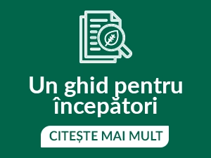 YERBA MATE PE SCURT. CONSULTAȚI GHIDUL NOSTRU PENTRU ÎNCEPĂTORI!