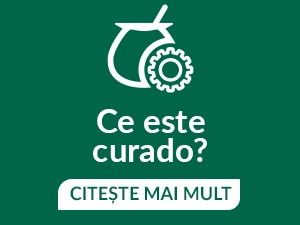 CURRADO - CUM SE PREPARĂ UN VAS DE YERBA MATE?