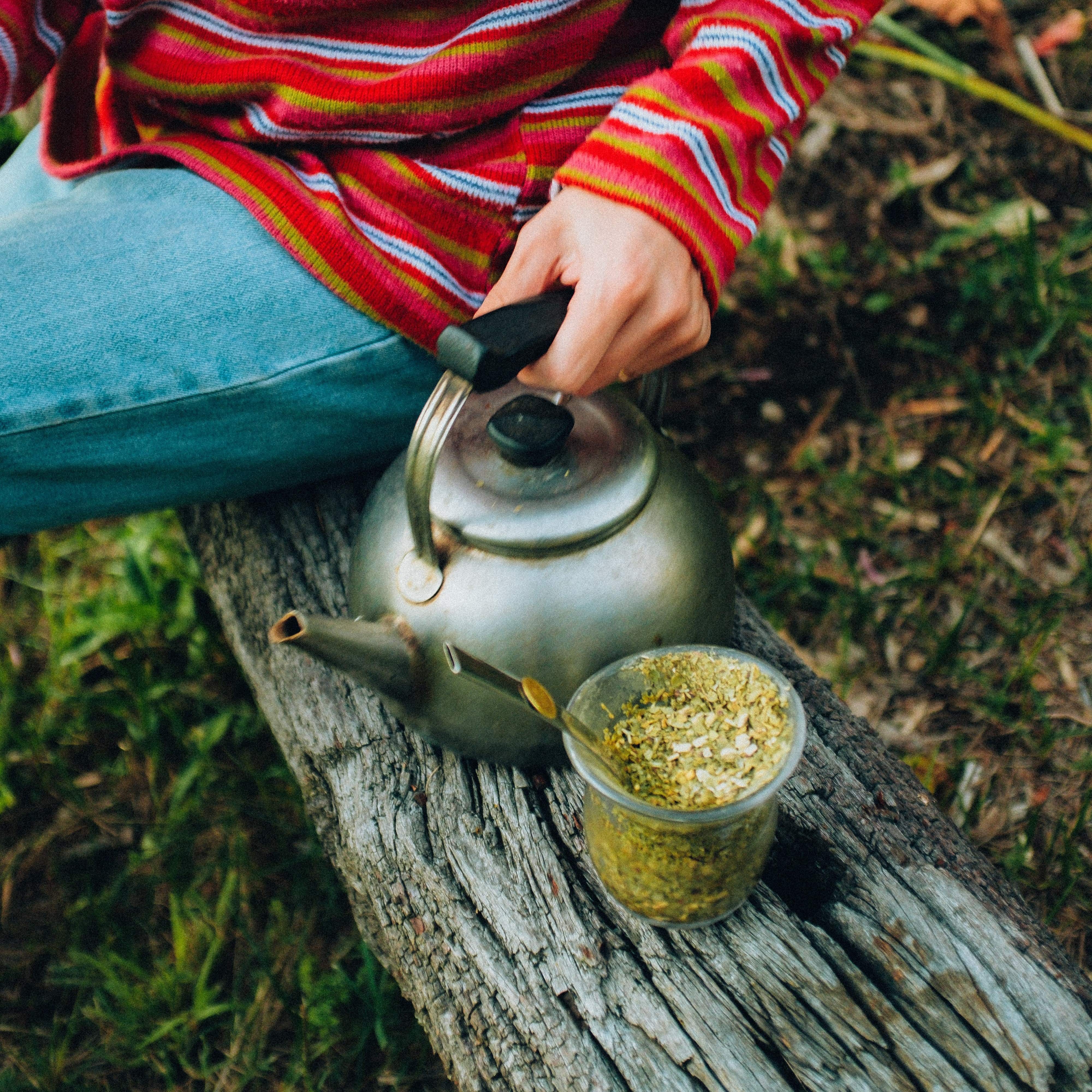 Cel mai bun yerba mate pentru începători