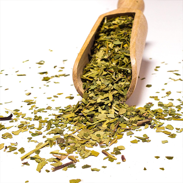 Ce este yerba mate verde și care sunt diferențele dintre varietatea tradițională?