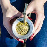 Ce este yerba mate?