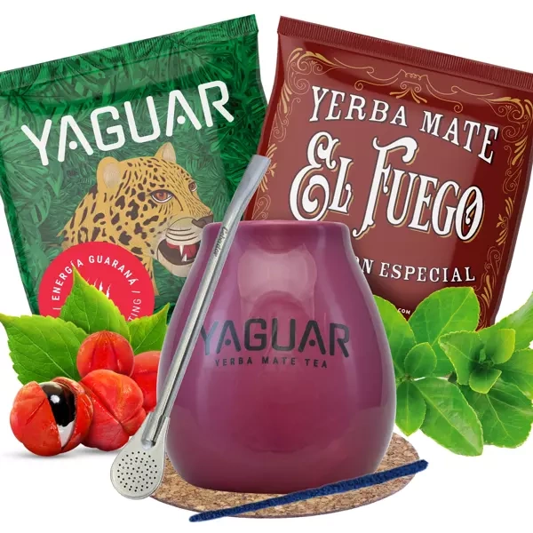 Kit de Yerba Mate Calabash Bombilla + 2x50g