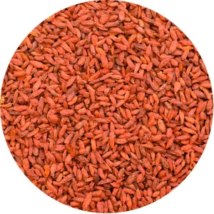 Vivarini - Goji berries (uscate) 1 kg